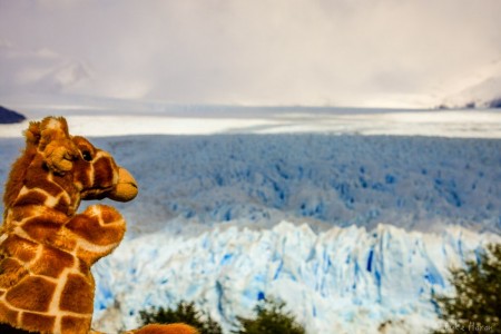 Edward visits Perito Moreno